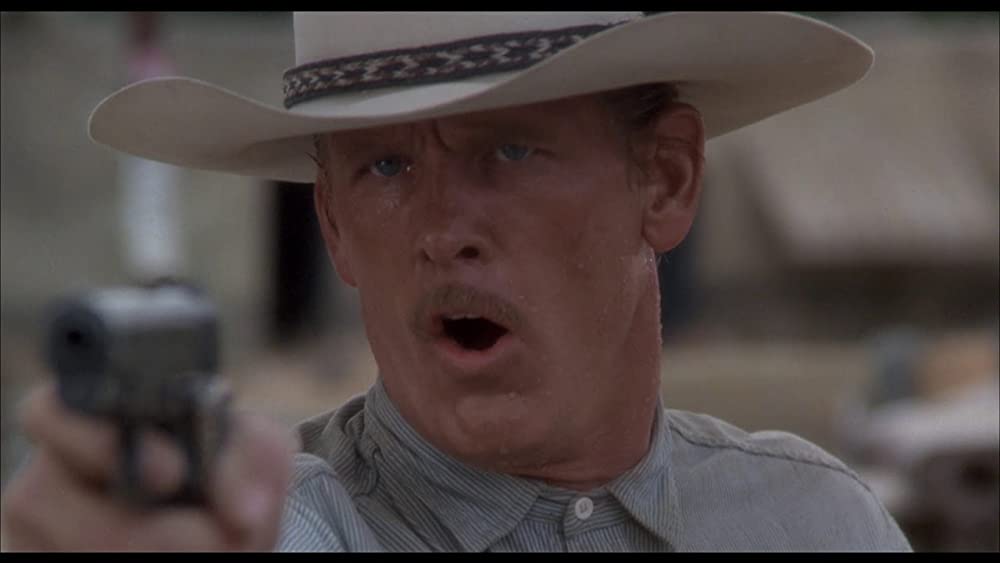 ダブルボーダーの画像