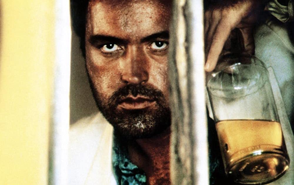 ダブルボーダーの画像