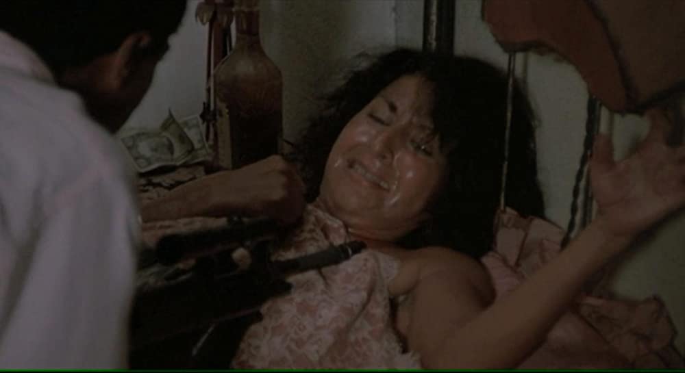 ダブルボーダーの画像