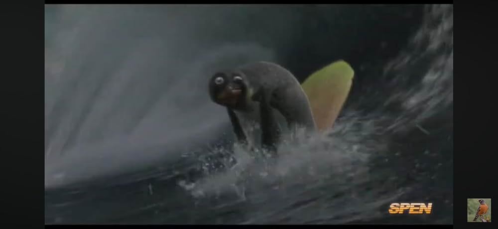 サーフズ・アップの画像