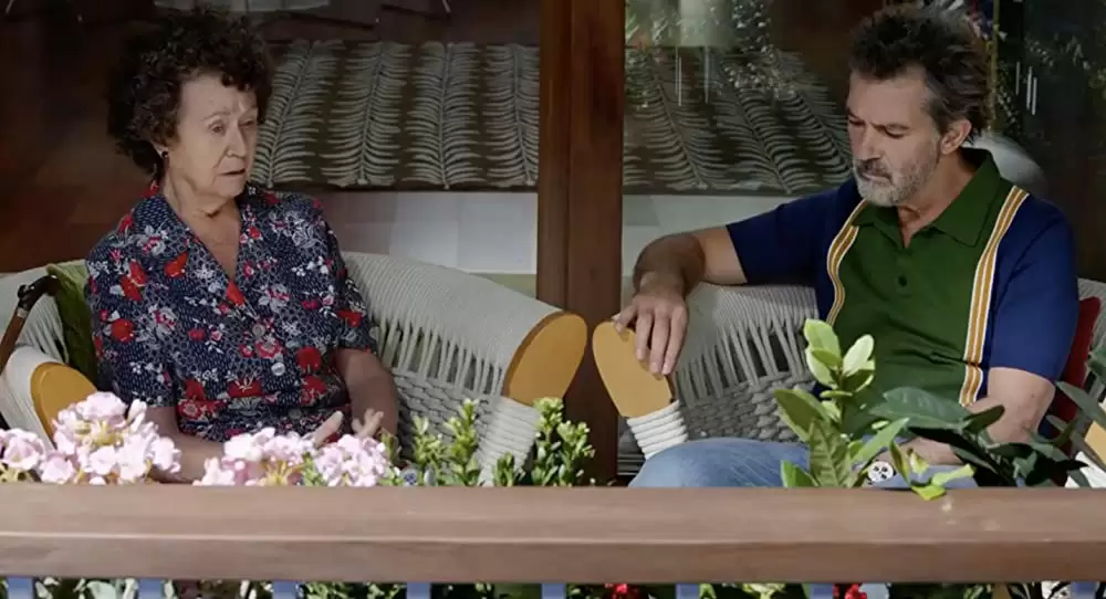 ペイン・アンド・グローリーの画像