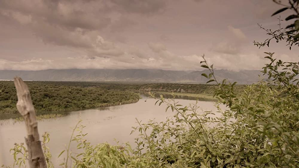 ヴィルンガの画像