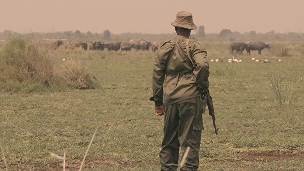 ヴィルンガの画像