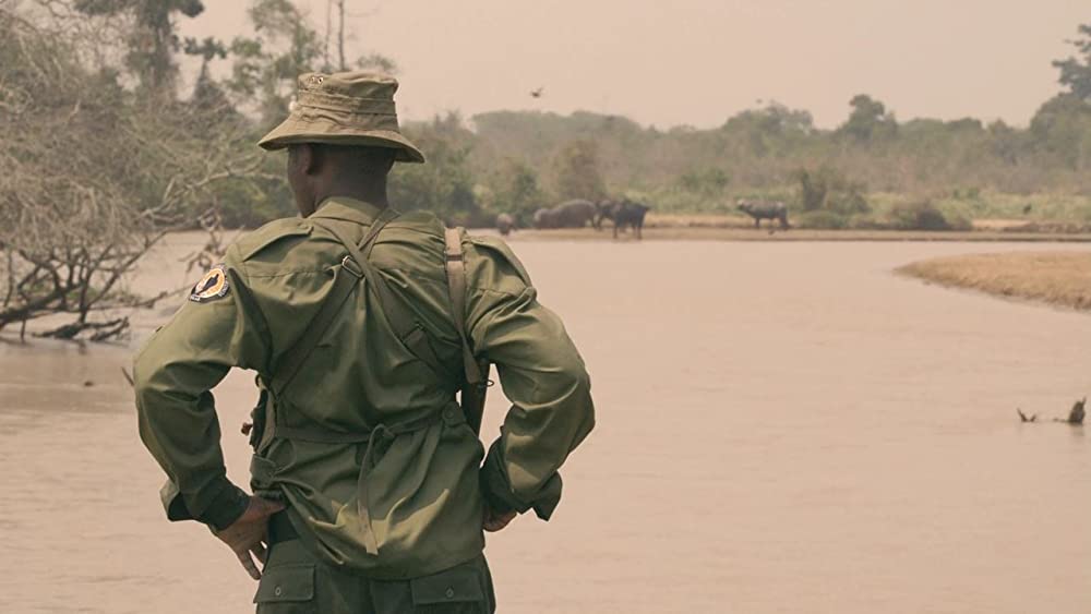 ヴィルンガの画像