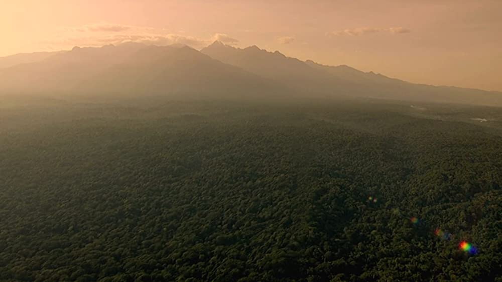 ヴィルンガの画像