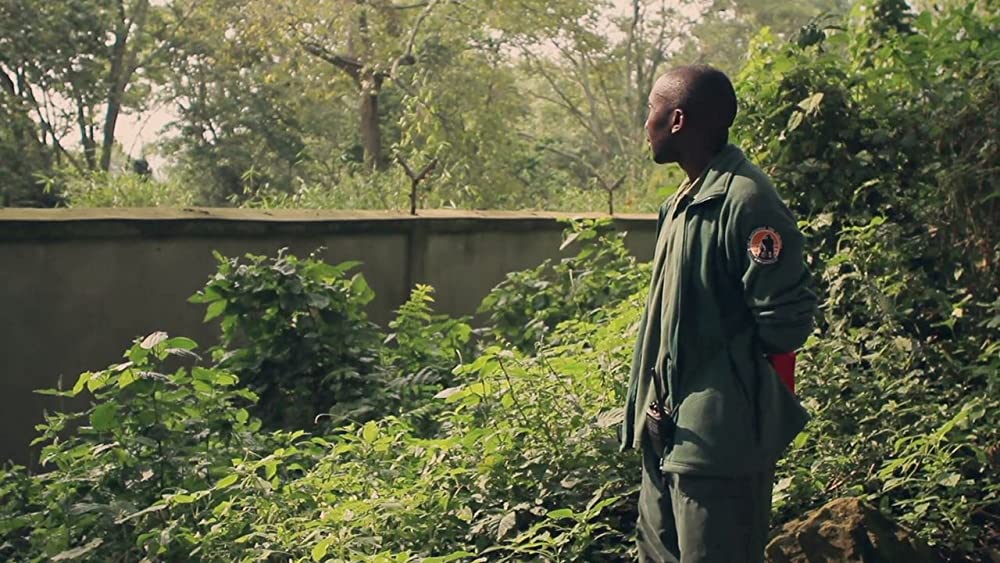 ヴィルンガの画像