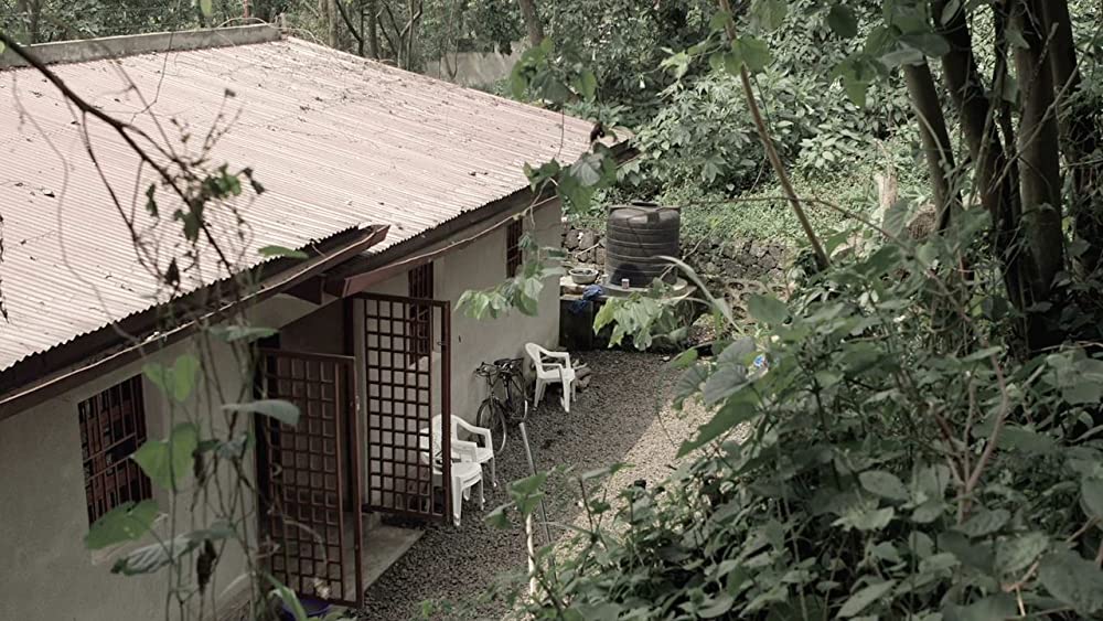 ヴィルンガの画像