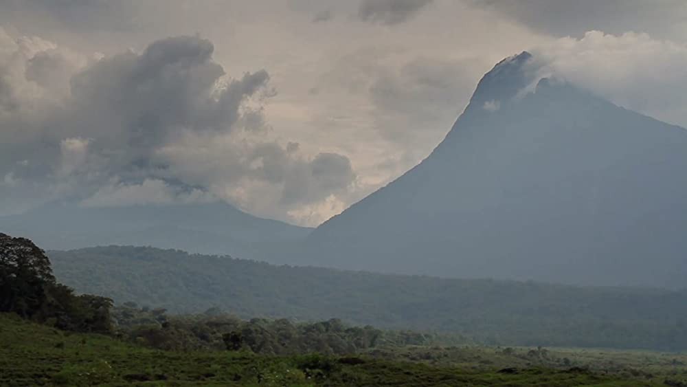 ヴィルンガの画像