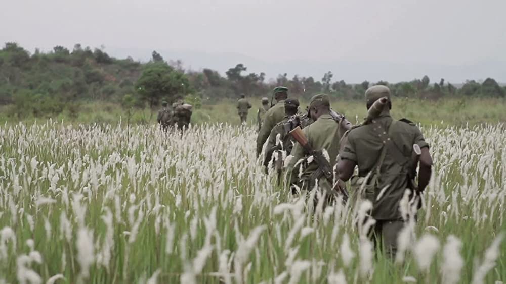 ヴィルンガの画像