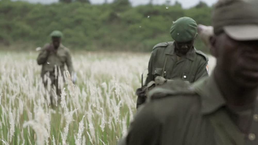 ヴィルンガの画像