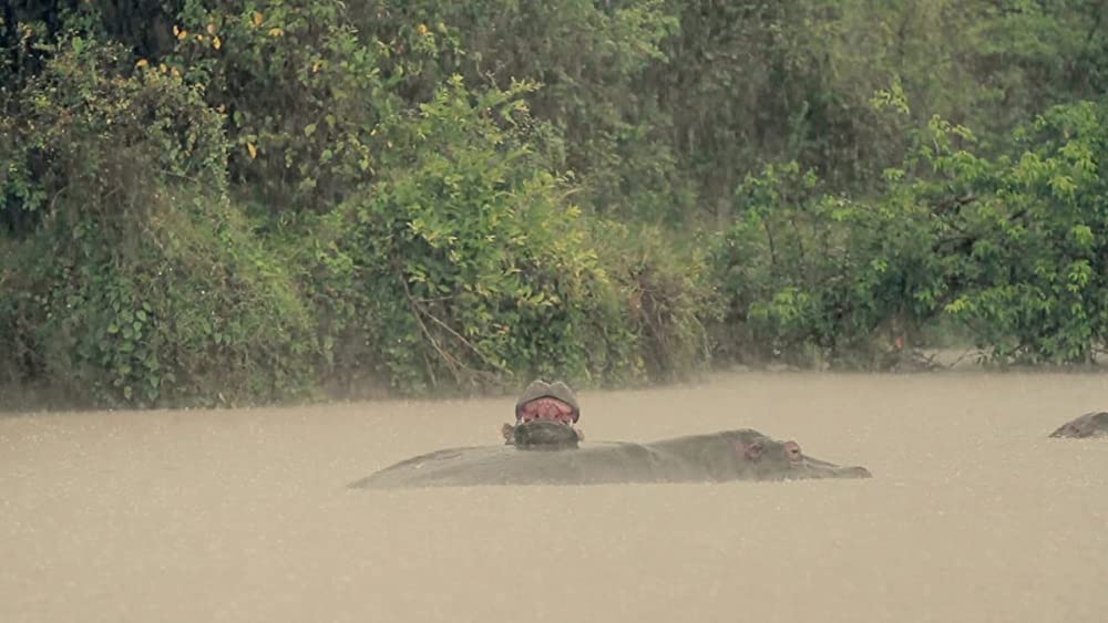 ヴィルンガの画像