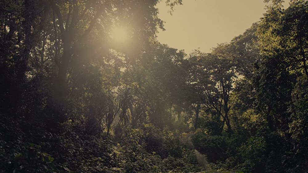 ヴィルンガの画像