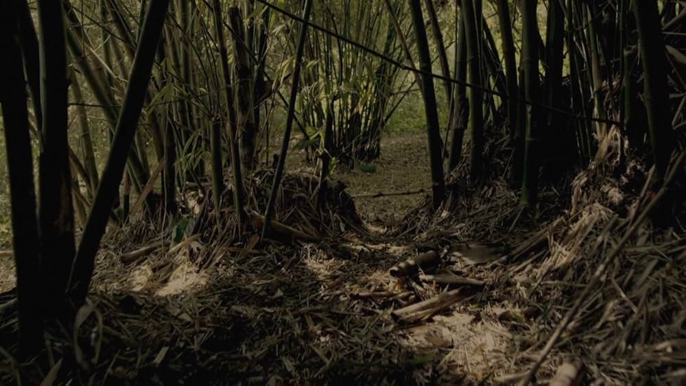 ヴィルンガの画像