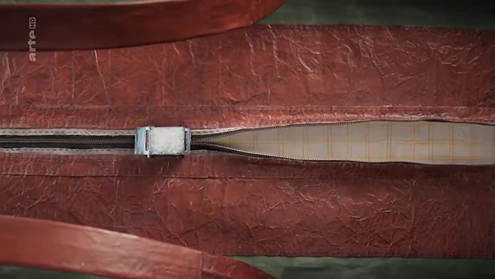 ネガティブ・スペースの画像