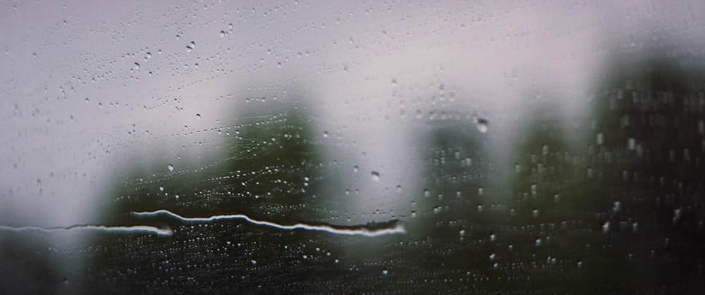 フォーリング ５０年間の想い出の画像