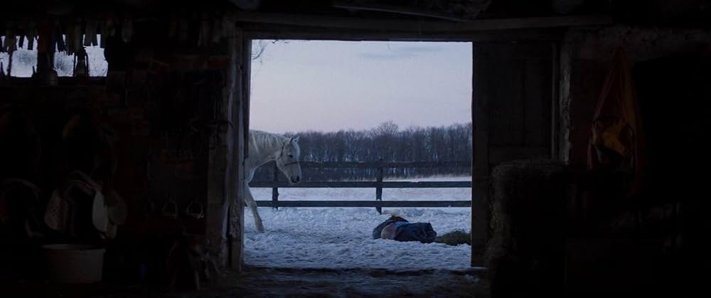 フォーリング ５０年間の想い出の画像