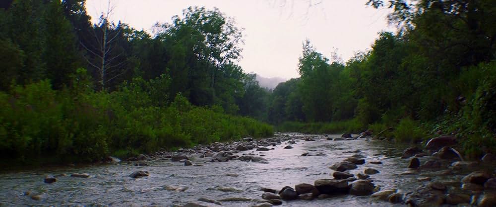 フォーリング ５０年間の想い出の画像