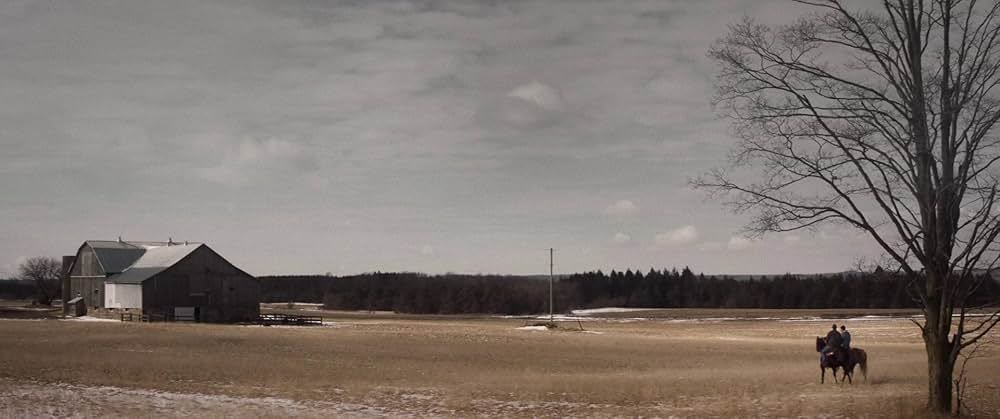 フォーリング ５０年間の想い出の画像