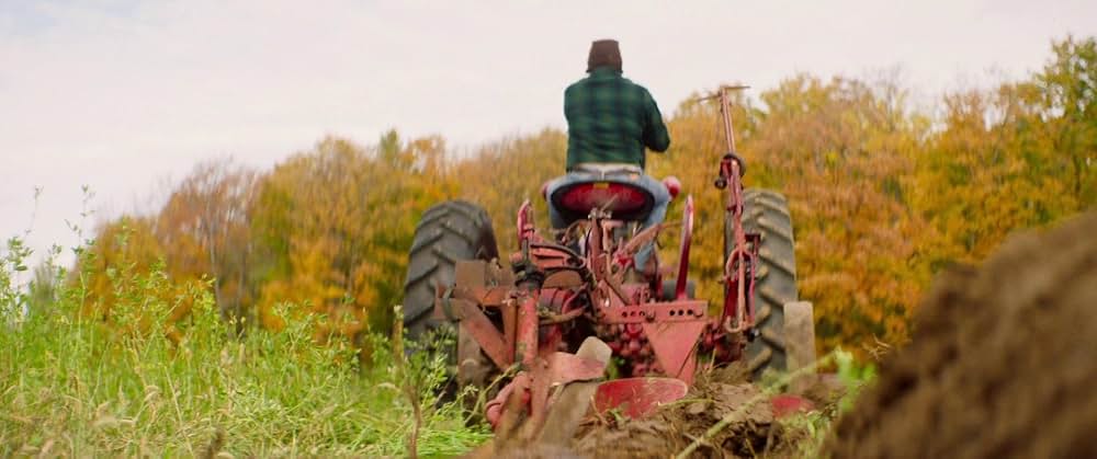 フォーリング ５０年間の想い出の画像