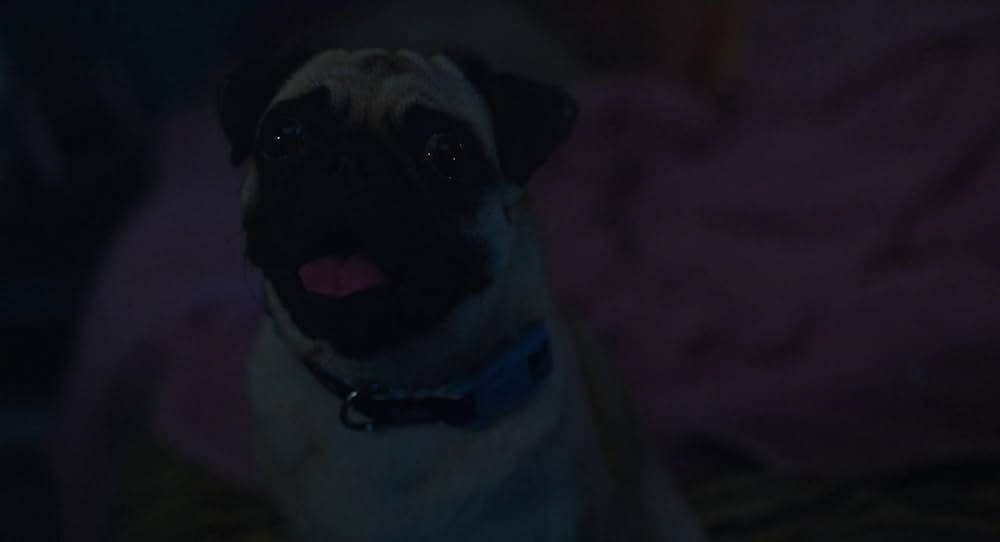 Pleasure（原題）の画像