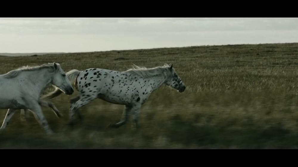 Striding Into the Wind（英題）の画像