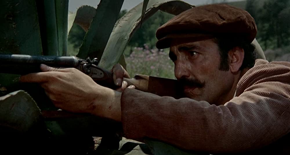 華やかな魔女たちの画像