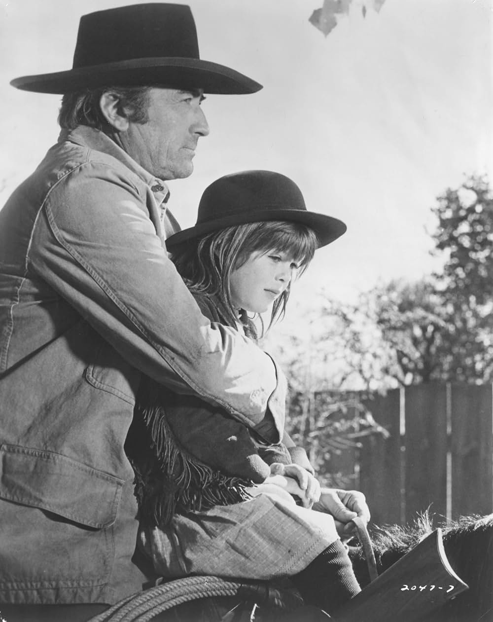 新・ガンヒルの決斗の画像