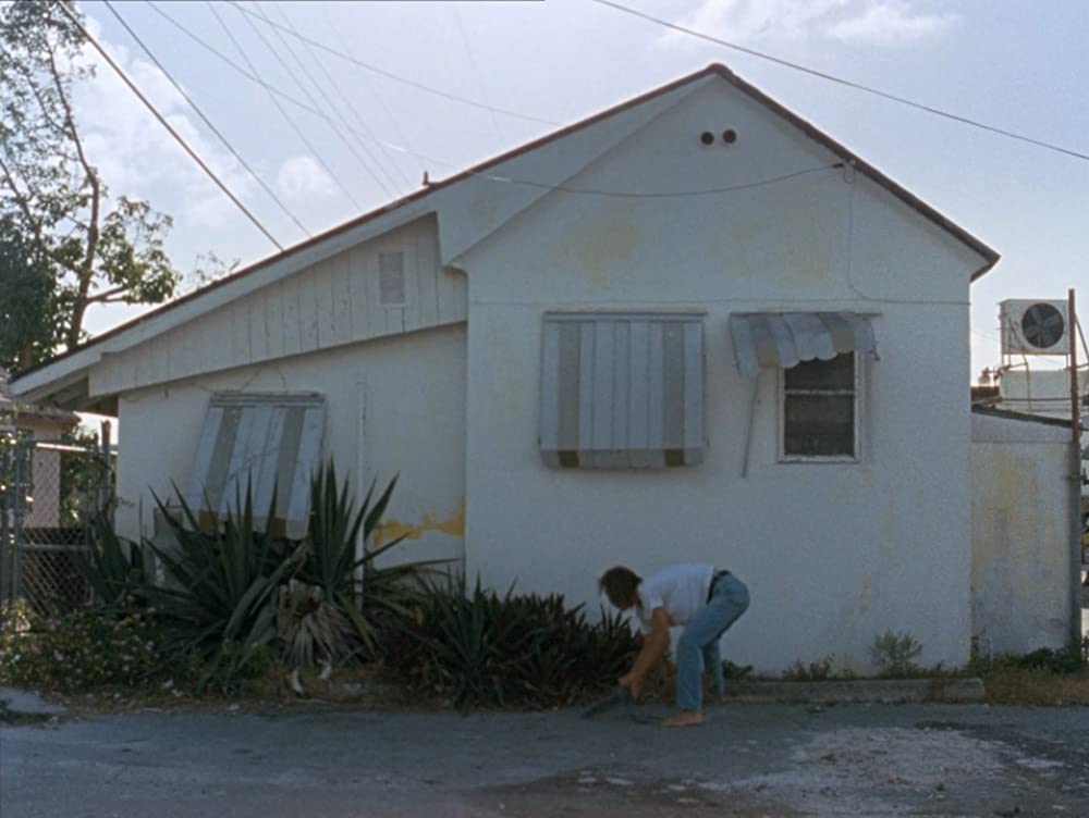 リバー・オブ・グラスの画像