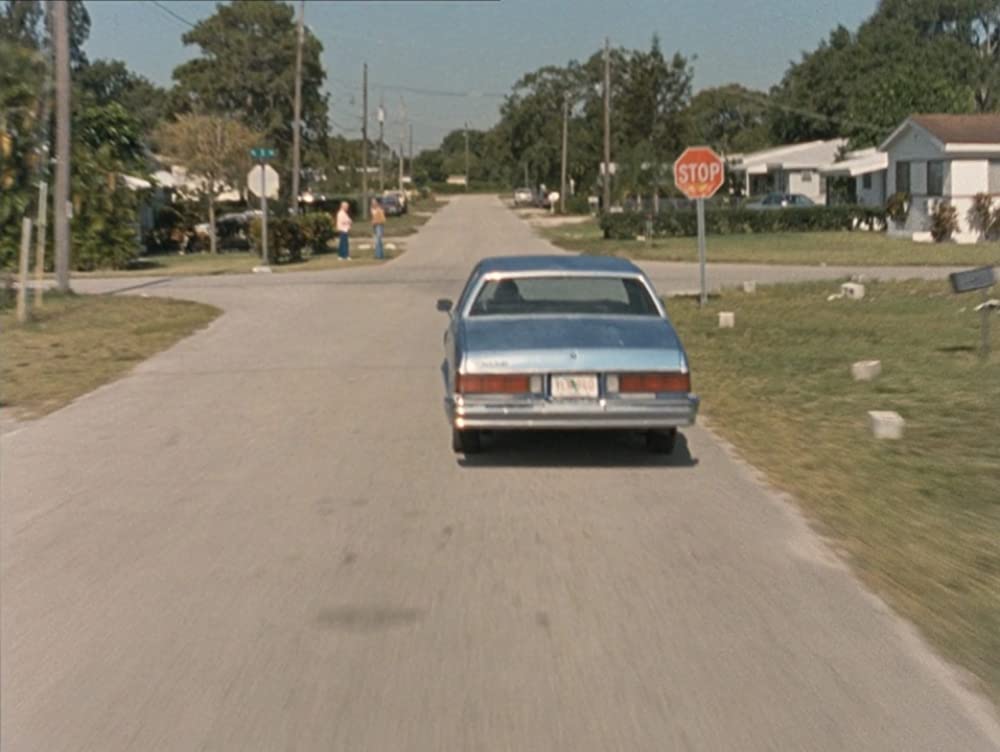 リバー・オブ・グラスの画像