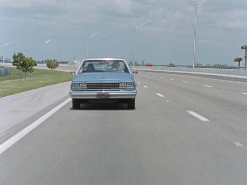 リバー・オブ・グラスの画像