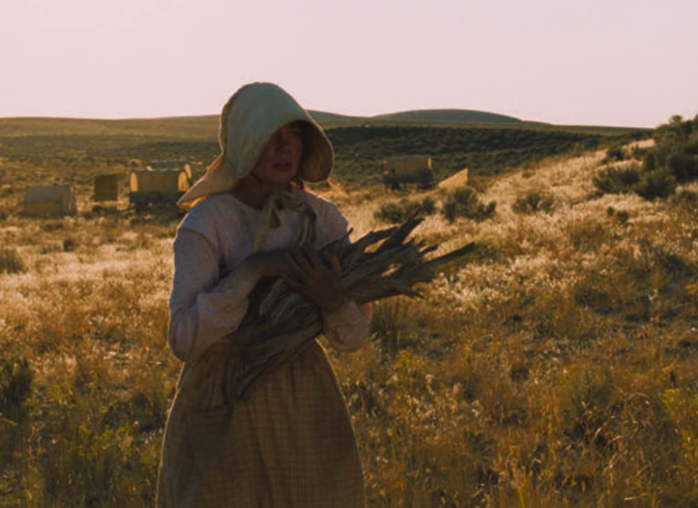 「ミークス・カットオフ」ミシェル・ウィリアムズの画像