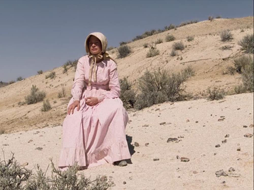 「ミークス・カットオフ」ミシェル・ウィリアムズの画像