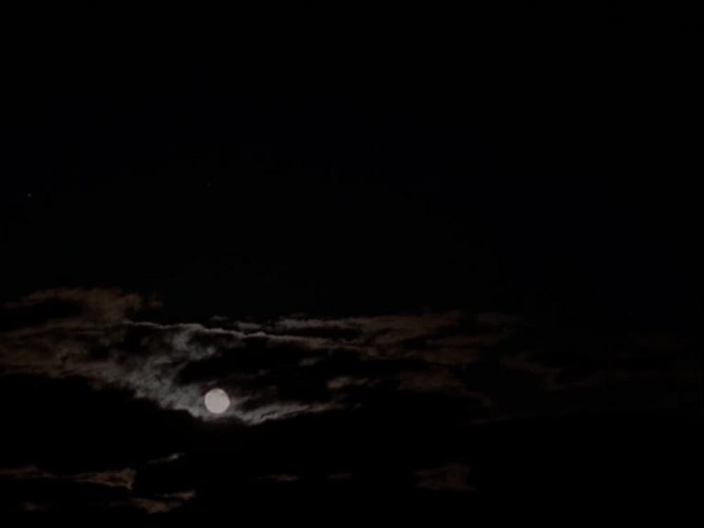 ミークス・カットオフの画像