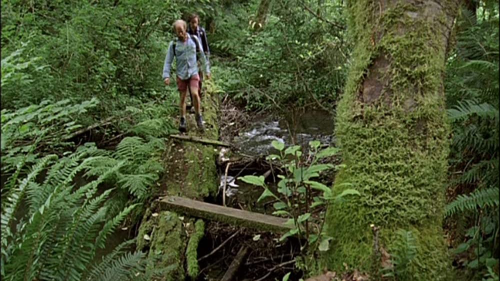 オールド・ジョイの画像