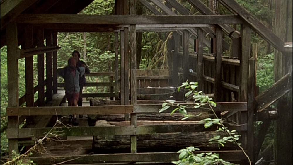 オールド・ジョイの画像