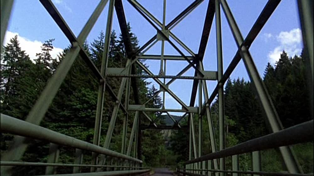 オールド・ジョイの画像