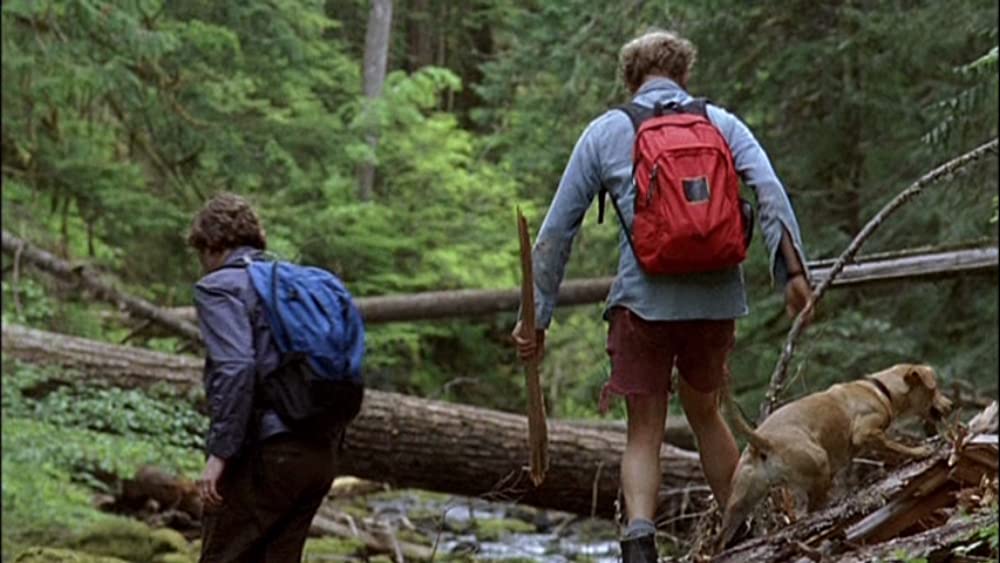 オールド・ジョイの画像