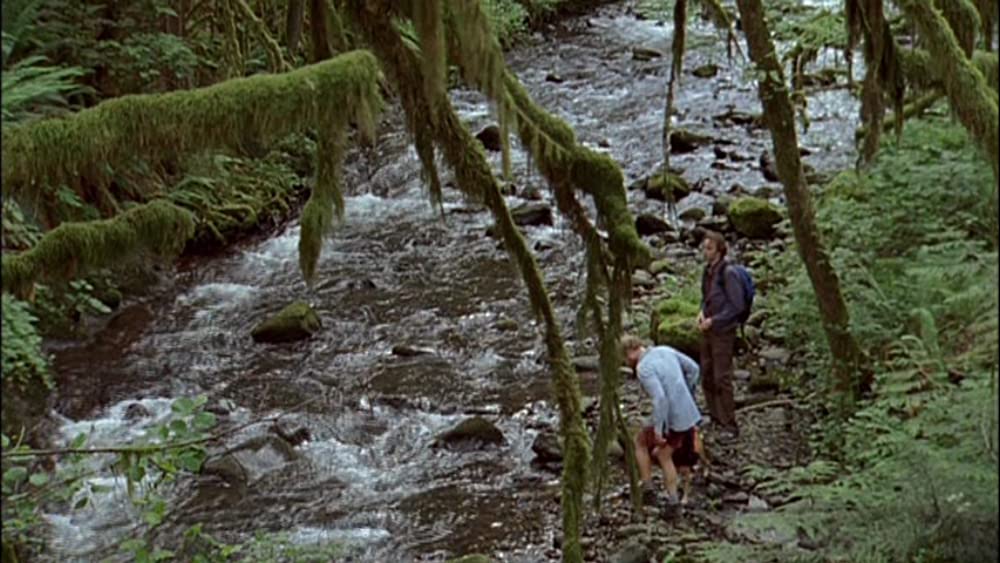 オールド・ジョイの画像