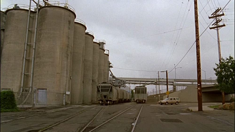 オールド・ジョイの画像