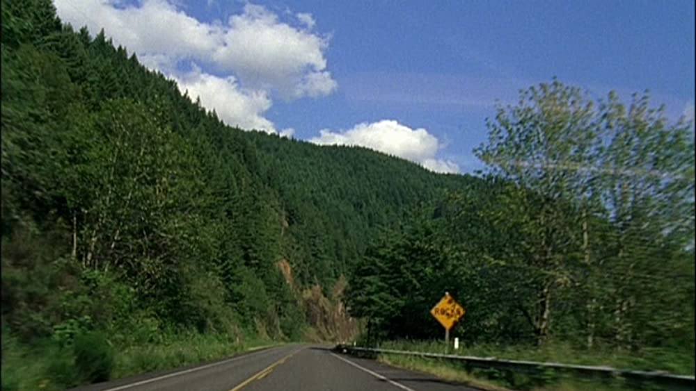 オールド・ジョイの画像