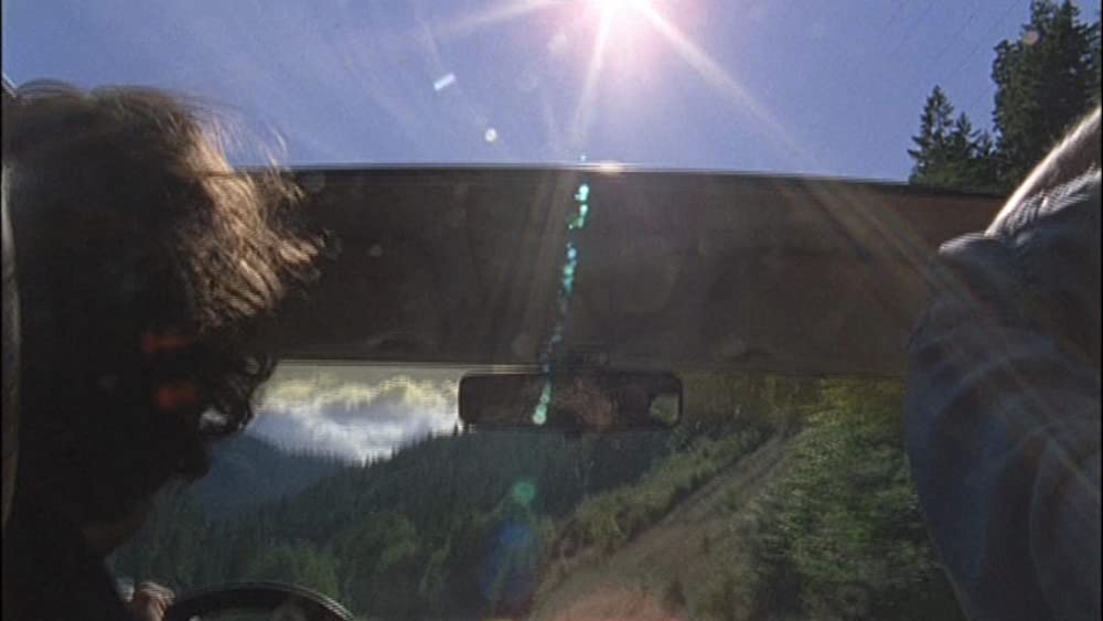 オールド・ジョイの画像