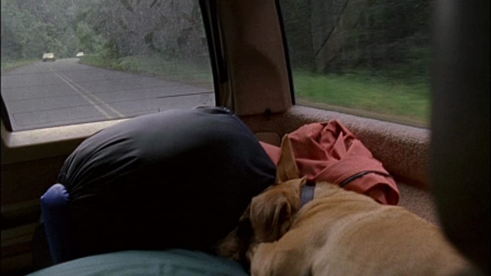 オールド・ジョイの画像