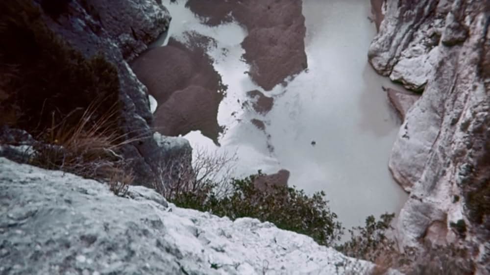 カットスロート・ナインの画像