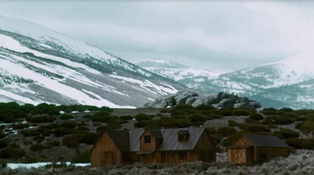 カットスロート・ナインの画像