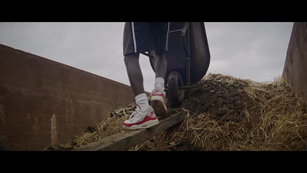 「コンクリート・カウボーイ: 本当の僕は」の画像