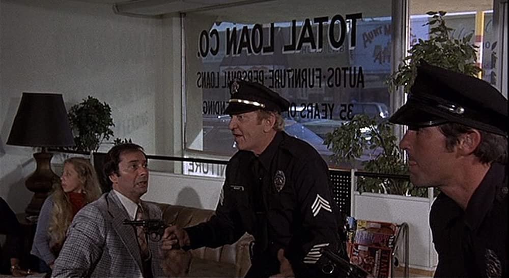 おかしな泥棒ディック&ジェーンの画像