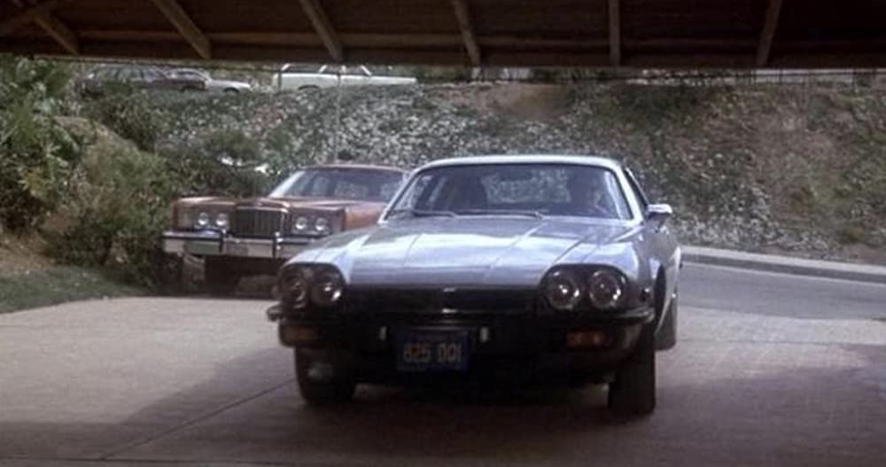 おかしな泥棒ディック&ジェーンの画像