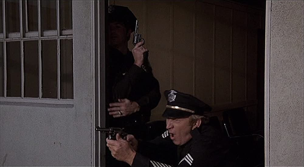 おかしな泥棒ディック&ジェーンの画像