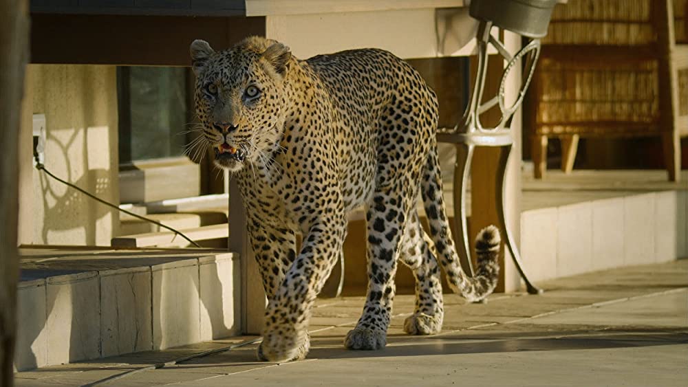 その年、地球が変わったの画像