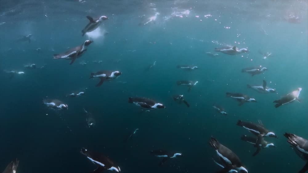 その年、地球が変わったの画像